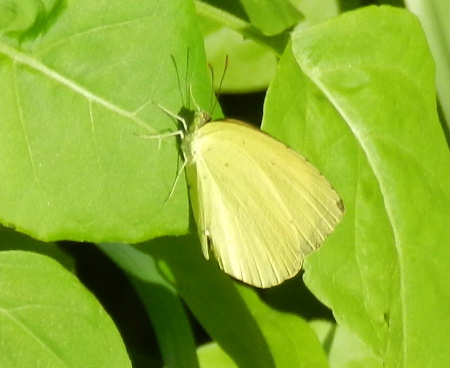 e0172950_20273665.jpg
