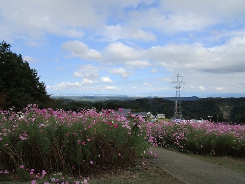 c0327752_23025862.jpg