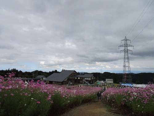 c0327752_23153787.jpg