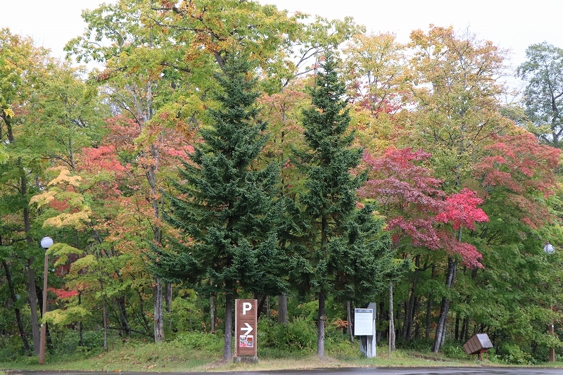 b0250154_07092234.jpg