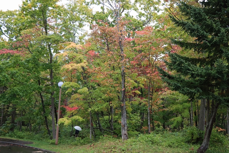 b0250154_07101576.jpg