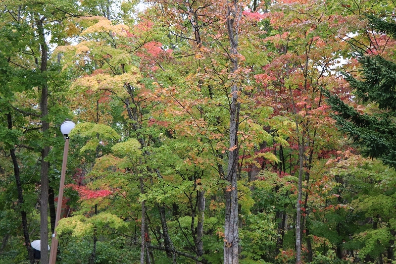 b0250154_07103820.jpg