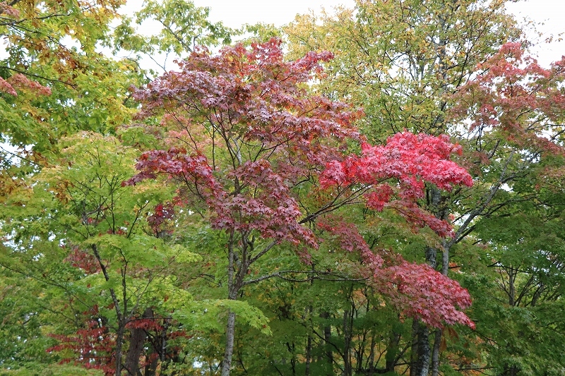 b0250154_07113569.jpg