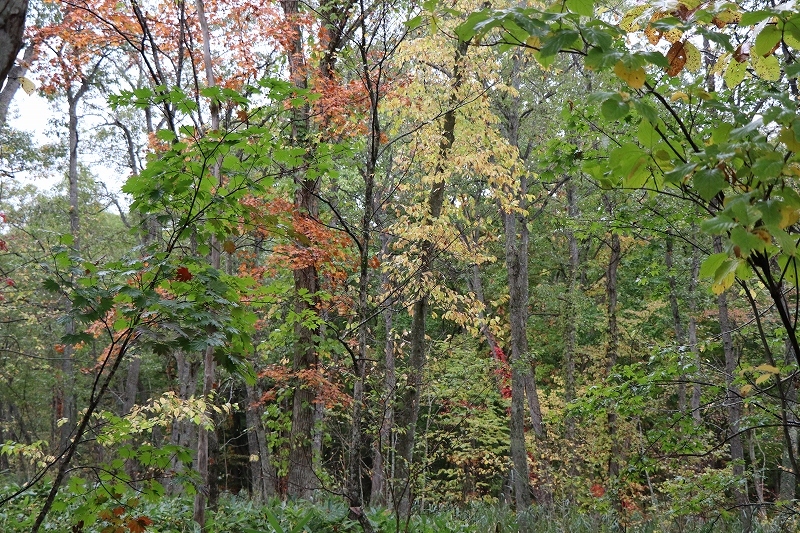 b0250154_18155998.jpg