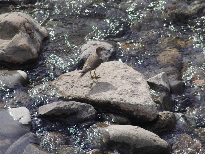 a0284658_16543980.jpg