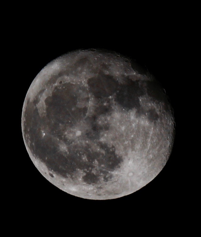 a0248459_13590491.jpg