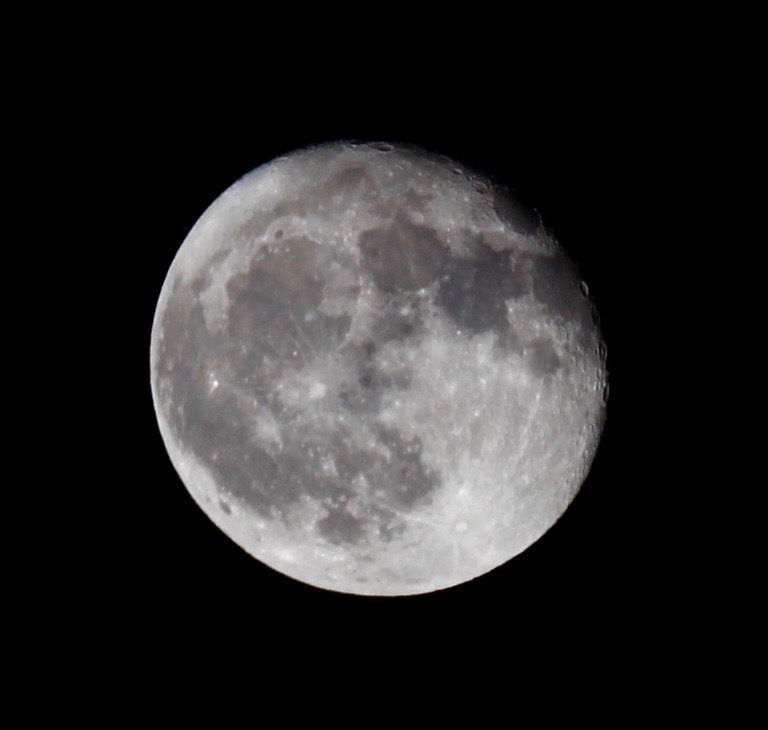 a0248459_13593528.jpg