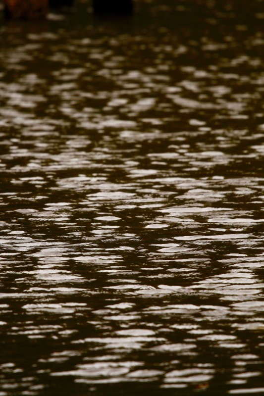 a0248459_14075674.jpg