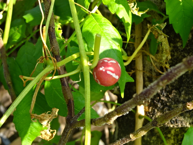 a0241761_14043918.jpg