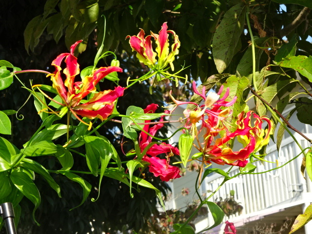 a0241761_14062048.jpg