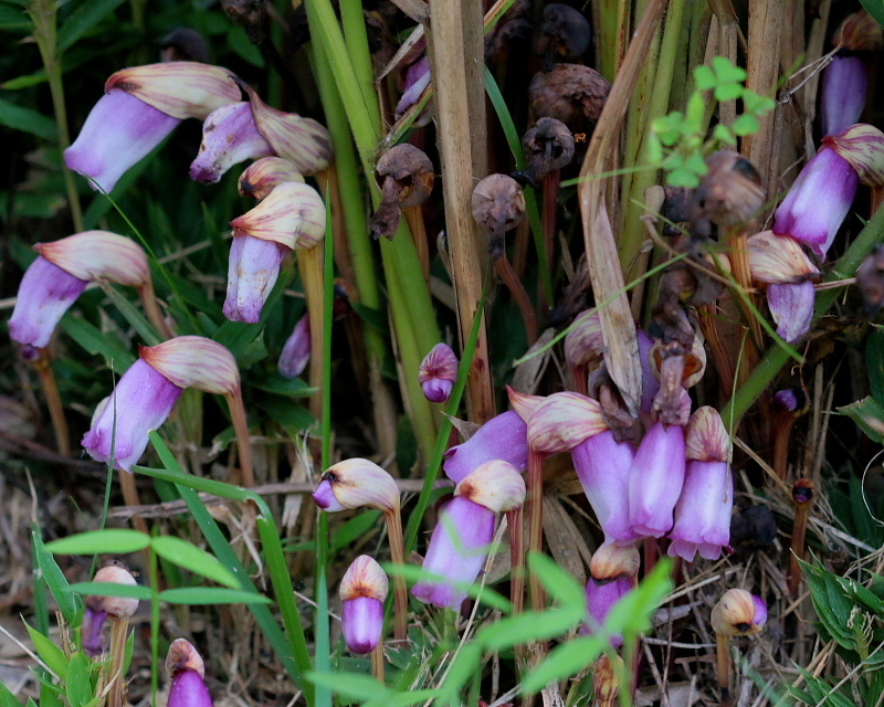 c0305565_17324763.jpg