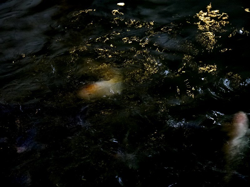 f0214467_09140888.jpg