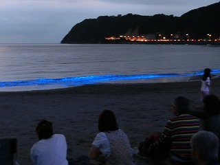 d0353074_18344899.jpg