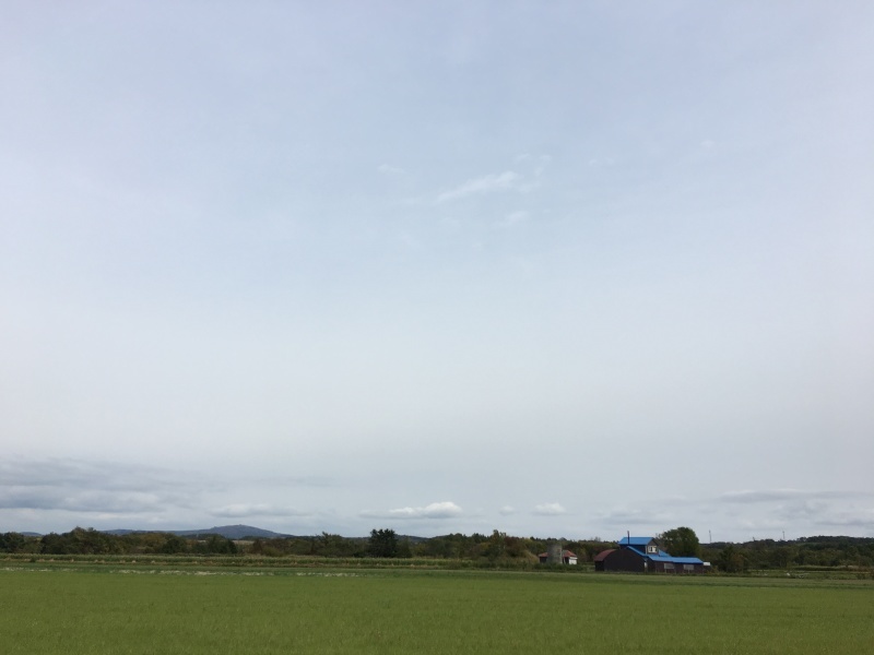 d0355681_12573692.jpeg