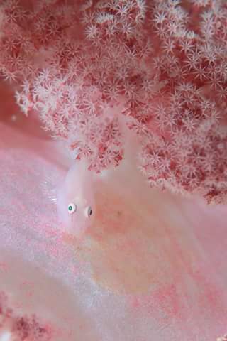f0151886_15305482.jpg