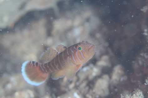 f0151886_15310341.jpg
