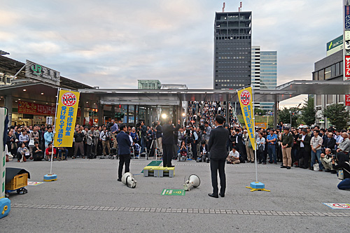 a0188487_17521477.jpg