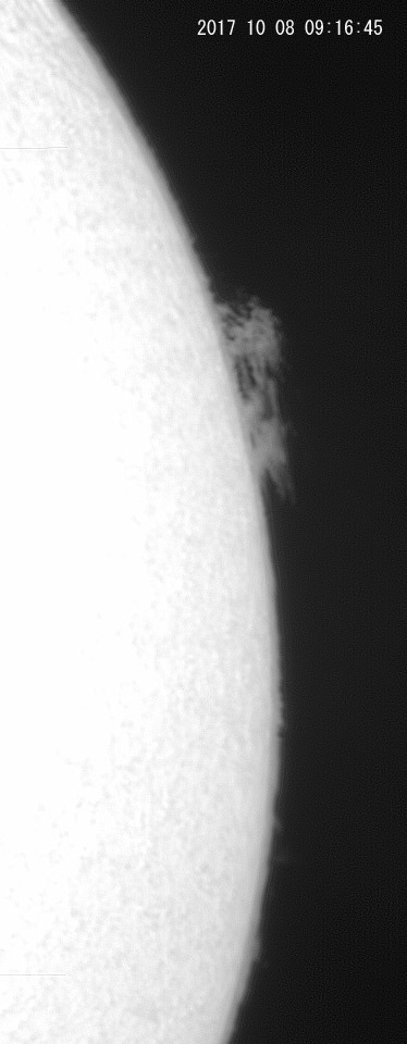 e0174091_10171262.jpg