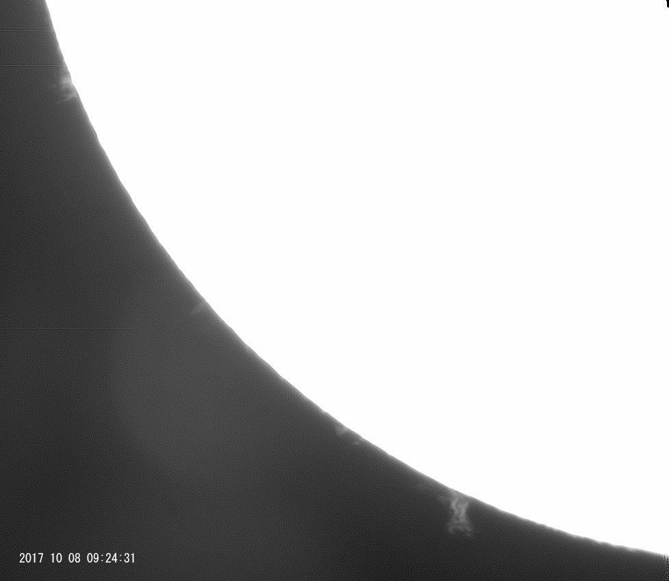 e0174091_10173993.jpg