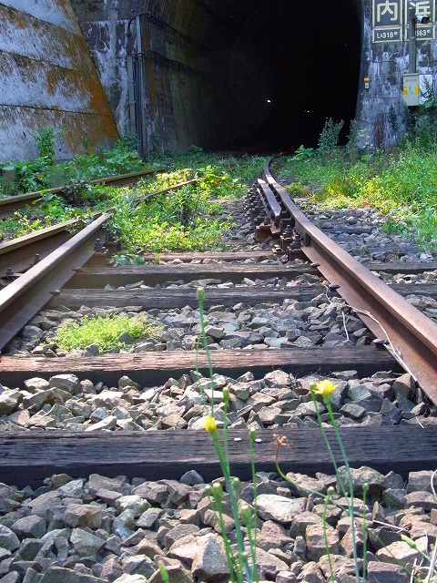 f0157901_1737143.jpg