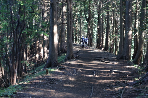 f0296109_18394763.jpg