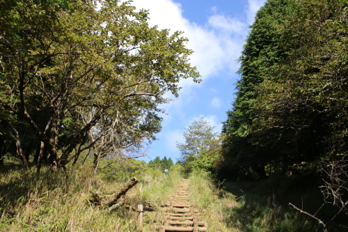 f0296109_18432468.jpg