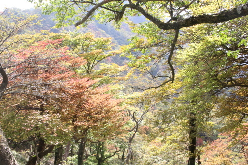 f0296109_18550203.jpg