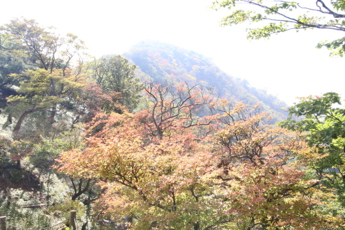 f0296109_18553926.jpg