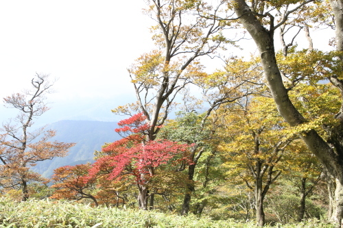 f0296109_19041187.jpg