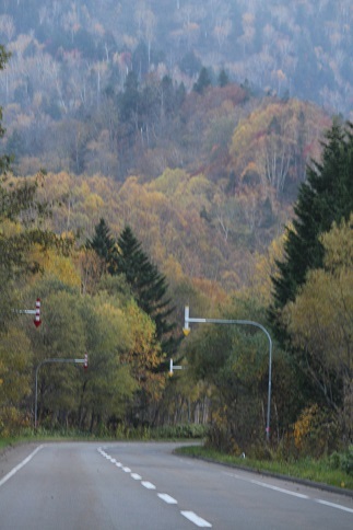 f0325309_20162962.jpg