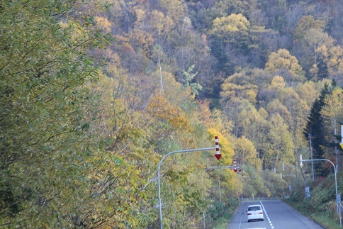 f0325309_20172167.jpg