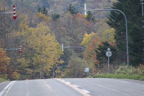 f0325309_20190659.jpg