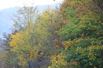f0325309_20193270.jpg