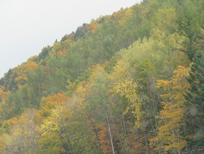 f0325309_20360973.jpg