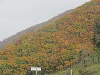 f0325309_20362491.jpg