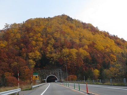 f0325309_20364886.jpg