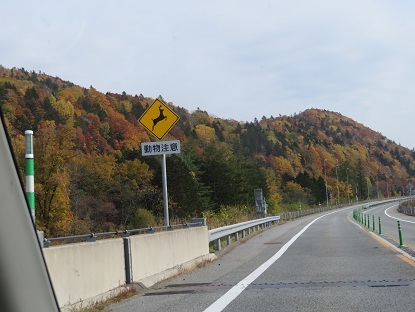 f0325309_20370531.jpg
