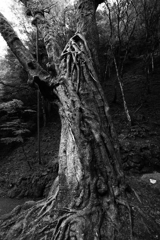 f0032011_17075467.jpg