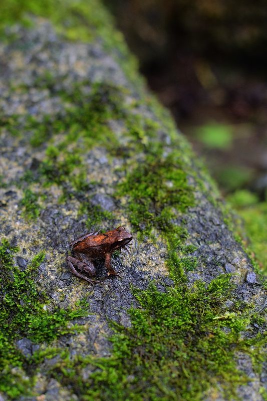 f0032011_17075548.jpg