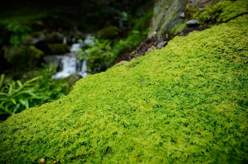 f0032011_17075636.jpg