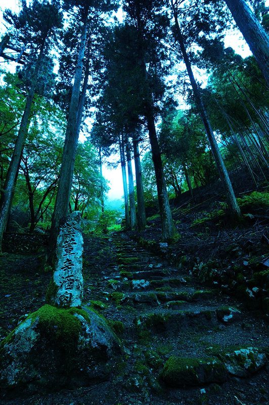 f0032011_17075677.jpg