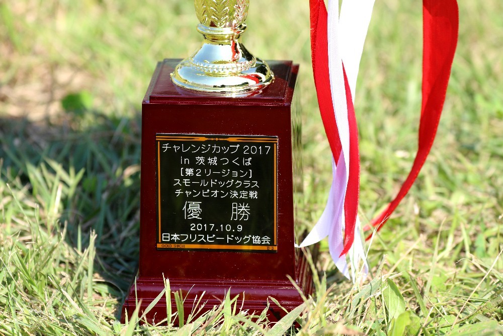 e0204314_14375841.jpg