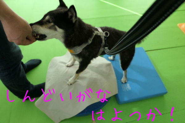 f0369014_16461635.jpg