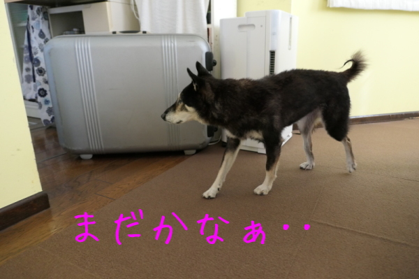 f0369014_16491008.jpg