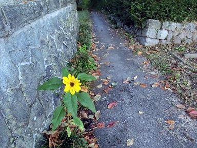 e0234924_09071888.jpg