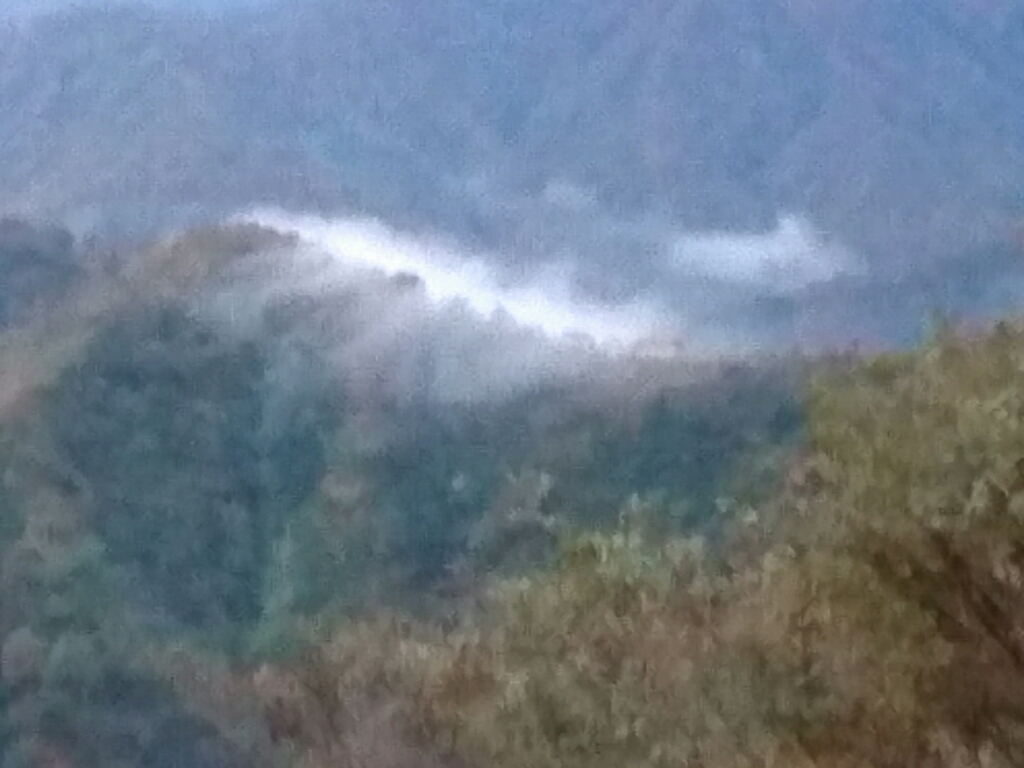 b0237229_13485685.jpg
