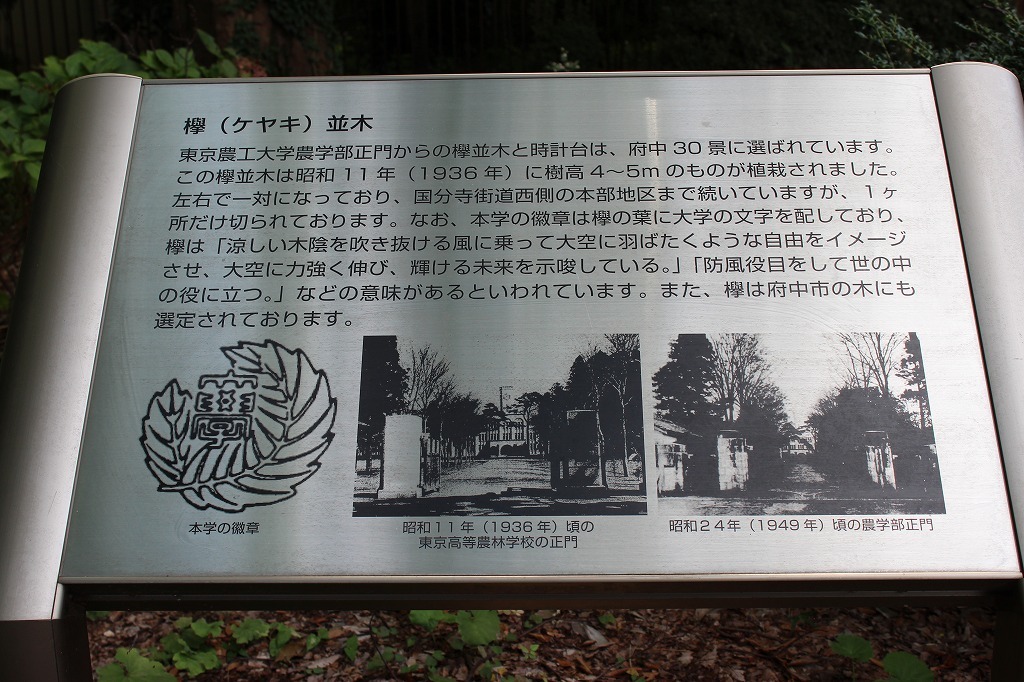 a0209630_21440030.jpg