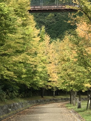 b0293631_12182775.jpg