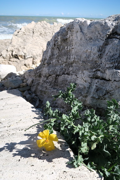 f0234936_634641.jpg