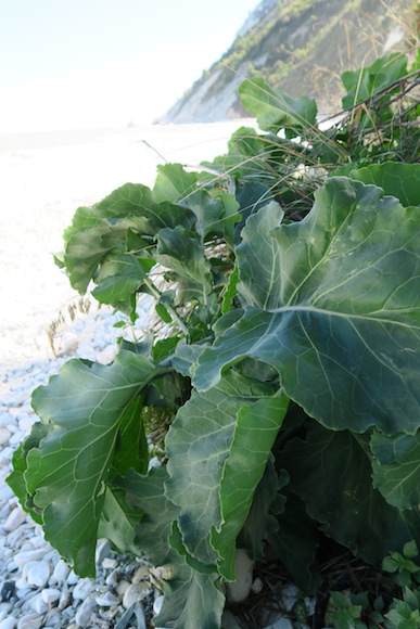 f0234936_701026.jpg